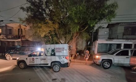 Exhorta Alcalde Carlos Peña Ortiz a dar una vida digna a animales de compañía