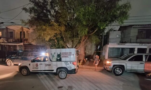 Exhorta Alcalde Carlos Peña Ortiz a dar una vida digna a animales de compañía
