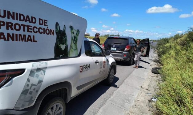 BIENESTAR Y PROTECCIÓN ANIMAL AL SERVICIO DE LA COMUNIDAD