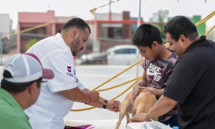 Reafirma Gobierno de Reynosa compromiso de protección y atención animal