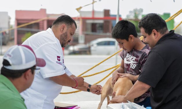 Reafirma Gobierno de Reynosa compromiso de protección y atención animal