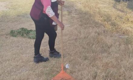 Sanearon cuadrillas del Gobierno de Reynosa COBAT 17