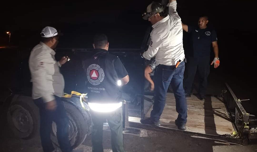 Refuerza Gobierno de Reynosa búsqueda de tigre en Los Cavazos
