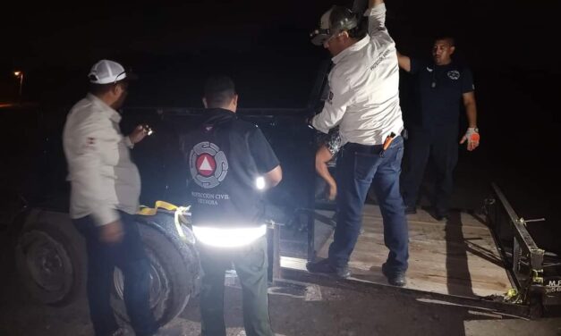 Refuerza Gobierno de Reynosa búsqueda de tigre en Los Cavazos