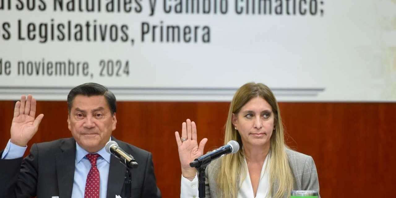 APROBÓ EL SENADO REFORMA CONSTITUCIONAL PARA PREVENIR EL MALTRATO ANIMAL