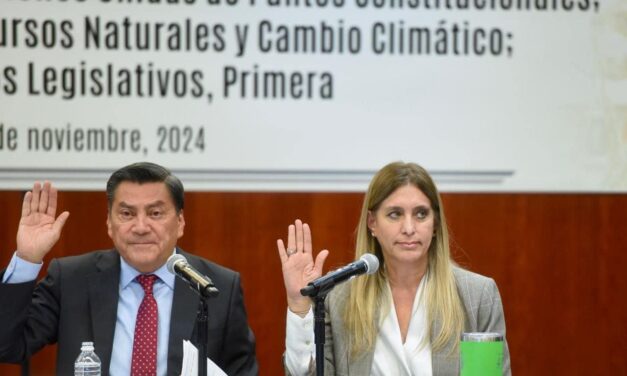 APROBÓ EL SENADO REFORMA CONSTITUCIONAL PARA PREVENIR EL MALTRATO ANIMAL
