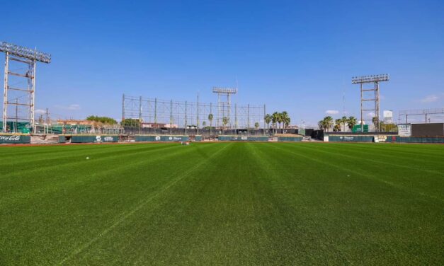 CONTINUAN LOS AVANCES EN LA REHABILITACIÓN DEL PARQUE DE BEISBOL ADOLFO LÓPEZ MATEOS