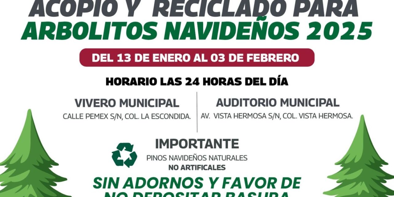 ¡No tires tu pino, el Gobierno de Reynosa lo recicla!