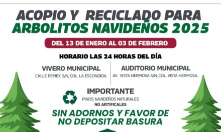 ¡No tires tu pino, el Gobierno de Reynosa lo recicla!