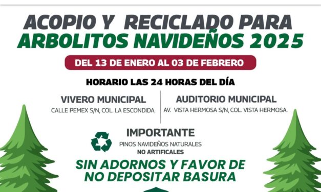 ¡No tires tu pino, el Gobierno de Reynosa lo recicla!