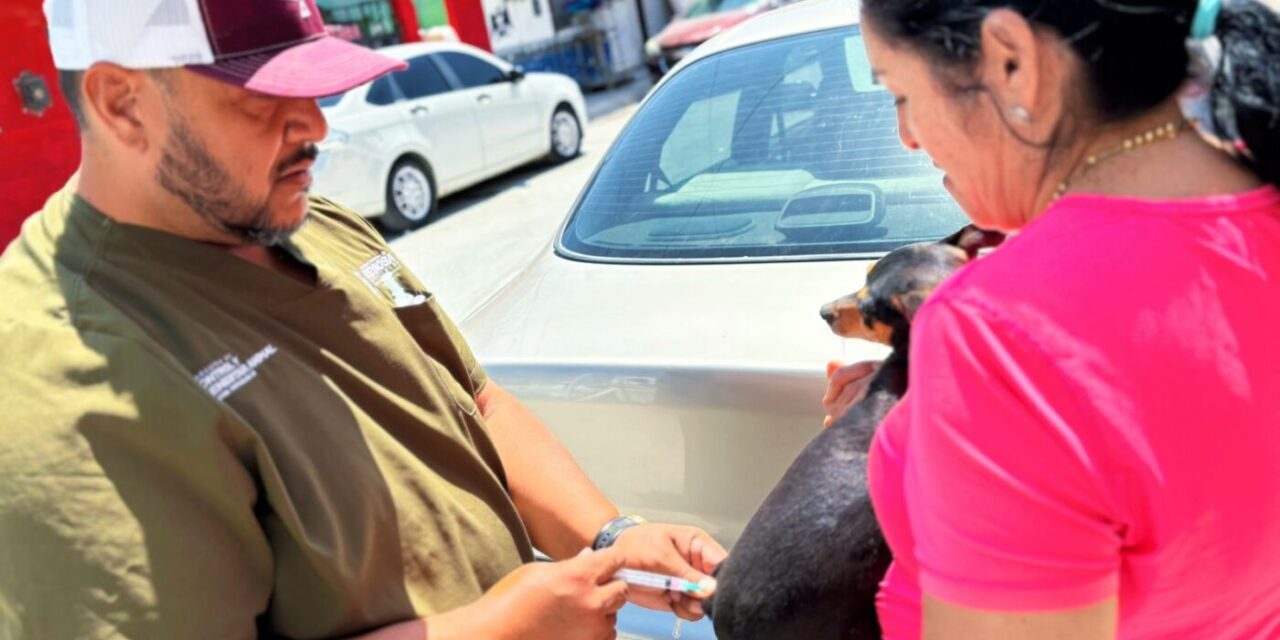 ATIENDE GOBIERNO DE REYNOSA A MASCOTAS DE ZONAS VULNERABLES