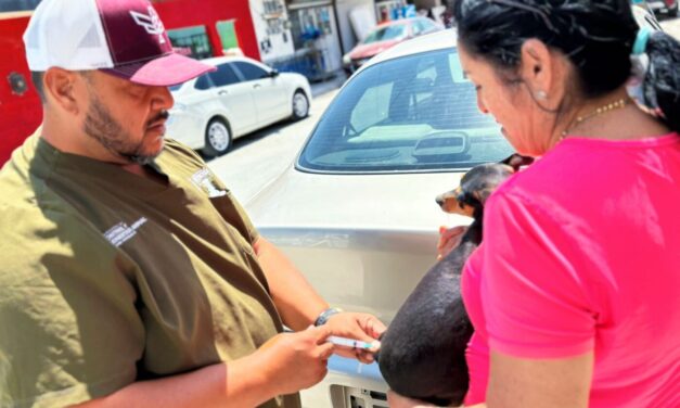 ATIENDE GOBIERNO DE REYNOSA A MASCOTAS DE ZONAS VULNERABLES