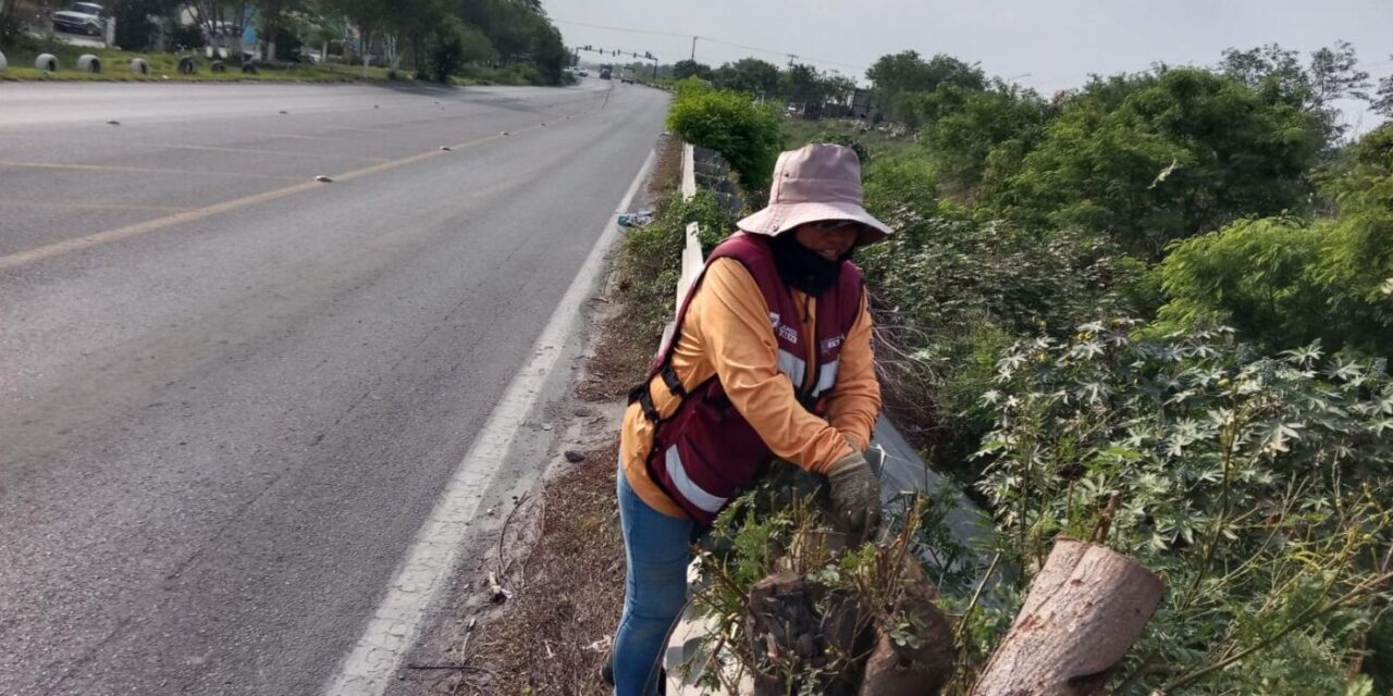 REFUERZA GOBIERNO DE REYNOSA LA SEGURIDAD VIAL CON INSTALACIÓN Y MANTENIMIENTO DE DEFENSAS METÁLICAS