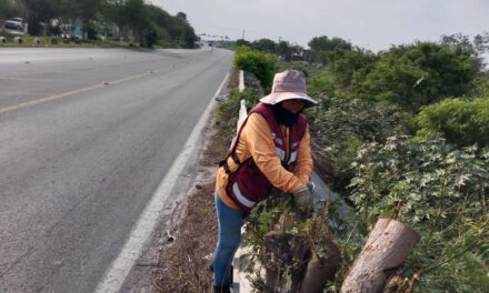 REFUERZA GOBIERNO DE REYNOSA LA SEGURIDAD VIAL CON INSTALACIÓN Y MANTENIMIENTO DE DEFENSAS METÁLICAS