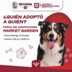 INVITA EL GOBIERNO DE REYNOSA A PARTICIPAR EN LA FERIA DE ADOPCIONES “¿QUIÉN ADOPTÓ A QUIÉN?”
