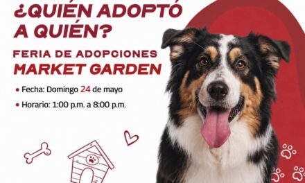 INVITA EL GOBIERNO DE REYNOSA A PARTICIPAR EN LA FERIA DE ADOPCIONES “¿QUIÉN ADOPTÓ A QUIÉN?”