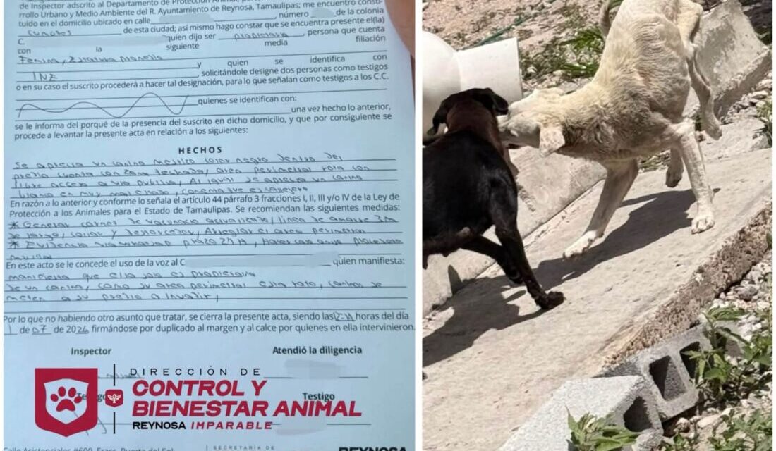CONTROL Y BIENESTAR ANIMAL DA SEGUIMIENTO A REPORTES EN LAS CUMBRES Y ERNESTO ZEDILLO