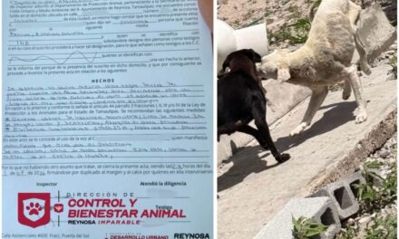 CONTROL Y BIENESTAR ANIMAL DA SEGUIMIENTO A REPORTES EN LAS CUMBRES Y ERNESTO ZEDILLO