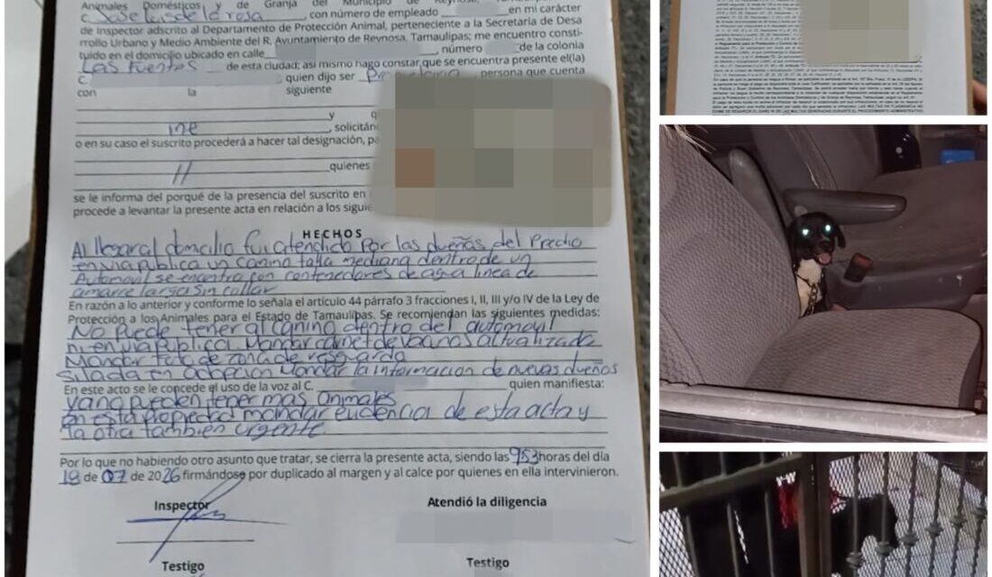 SANCIONA GOBIERNO DE REYNOSA CASO DE MALTRATO ANIMAL EN LAS FUENTES