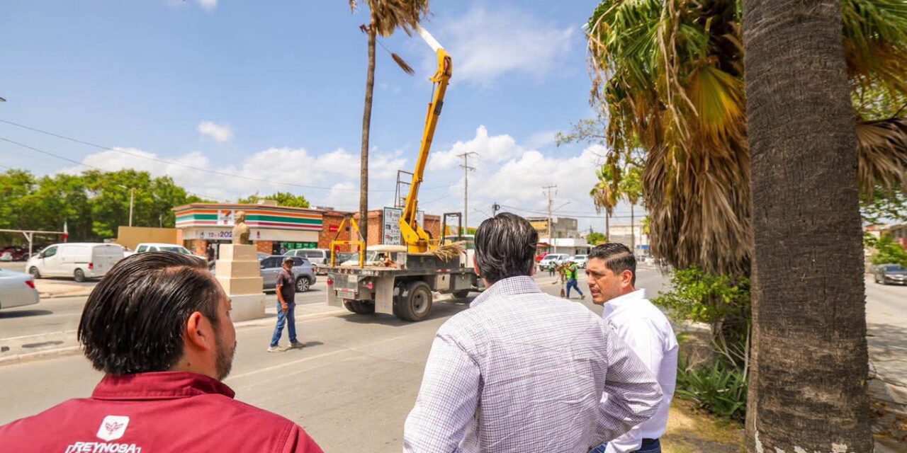 SUPERVISA CARLOS PEÑA ORTIZ LABORES DE LIMPIEZA Y PODA EN EL BULEVAR DEL MAESTRO