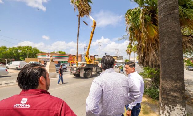 SUPERVISA CARLOS PEÑA ORTIZ LABORES DE LIMPIEZA Y PODA EN EL BULEVAR DEL MAESTRO