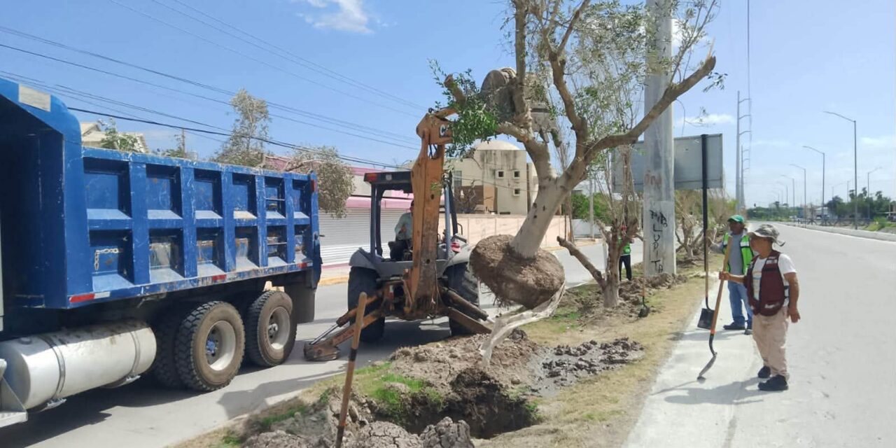 EL GOBIERNO DE REYNOSA AMPLÍA ATENCIÓN A COLONIAS Y EJIDOS CON SERVICIOS DE LIMPIEZA, ALUMBRADO, BACHEO Y SUMINISTRO DE AGUA