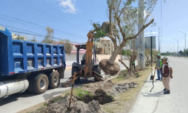 EL GOBIERNO DE REYNOSA AMPLÍA ATENCIÓN A COLONIAS Y EJIDOS CON SERVICIOS DE LIMPIEZA, ALUMBRADO, BACHEO Y SUMINISTRO DE AGUA